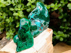 Polished Flower Banded Malachite Free Forms x 5 From Congo - Toprock Gemstones and Minerals 