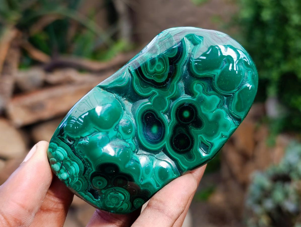 Polished Flower Banded Malachite Free Forms x 5 From Congo - Toprock Gemstones and Minerals 