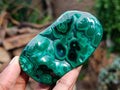 Polished Flower Banded Malachite Free Forms x 5 From Congo - Toprock Gemstones and Minerals 