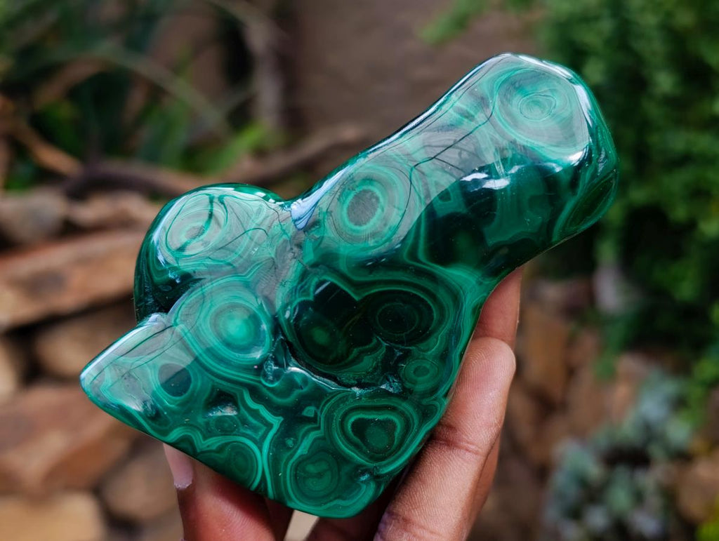 Polished Flower Banded Malachite Free Forms x 5 From Congo - Toprock Gemstones and Minerals 