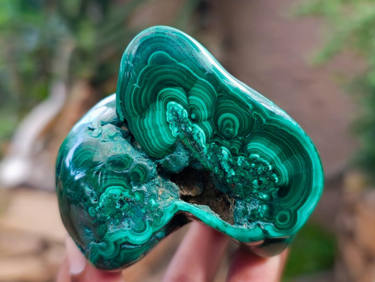 Polished Flower Banded Malachite Free Forms x 5 From Congo - Toprock Gemstones and Minerals 