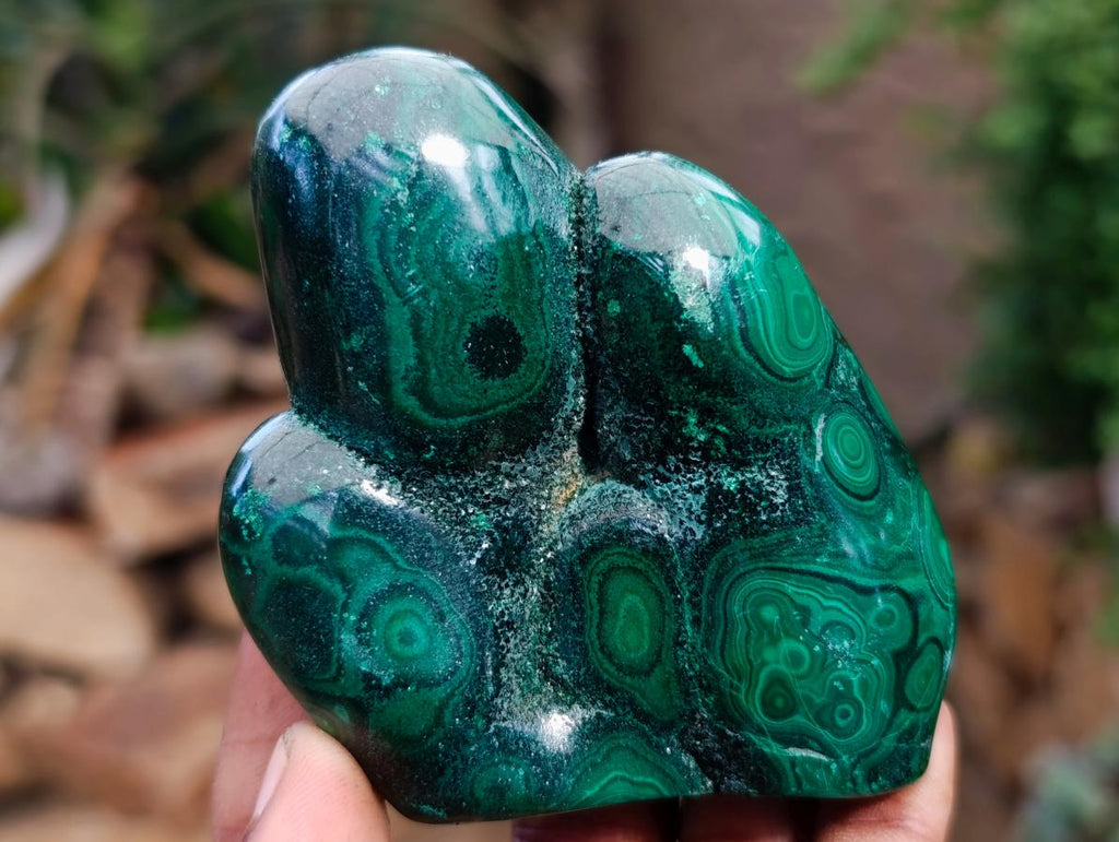 Polished Flower Banded Malachite Free Forms x 5 From Congo - Toprock Gemstones and Minerals 
