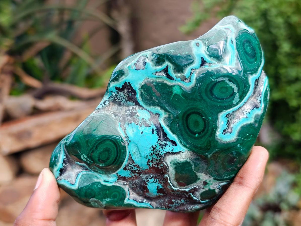 Polished Flower Banded Malachite Free Forms x 5 From Congo - Toprock Gemstones and Minerals 
