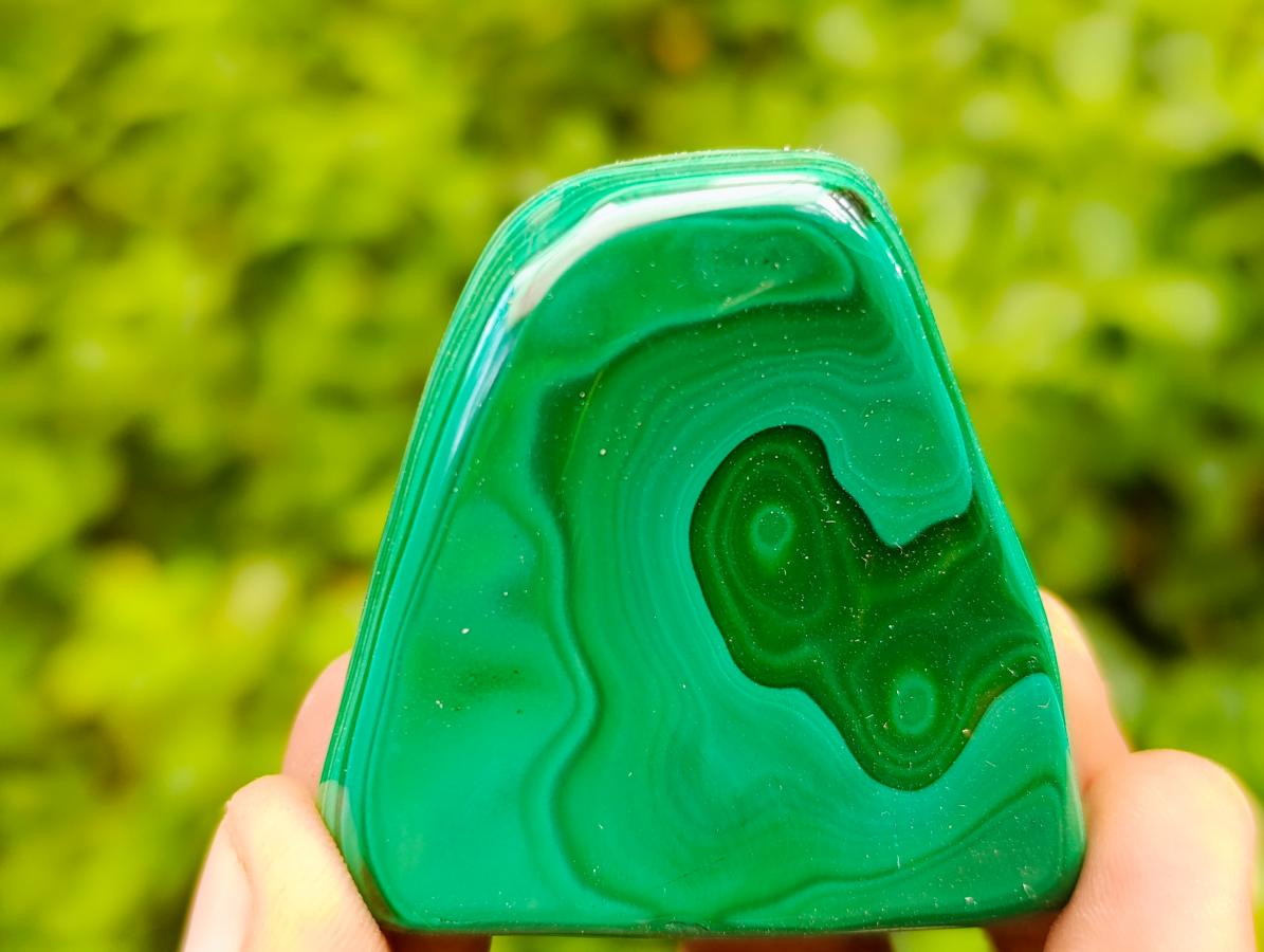 Polished Flower Banded Malachite Free Forms x 5 From Congo - Toprock Gemstones and Minerals 