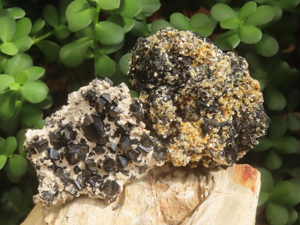 Natural Schorl Black Tourmaline with Associated Minerals x 7 From Erongo, Namibia - Toprock Gemstones and Minerals 