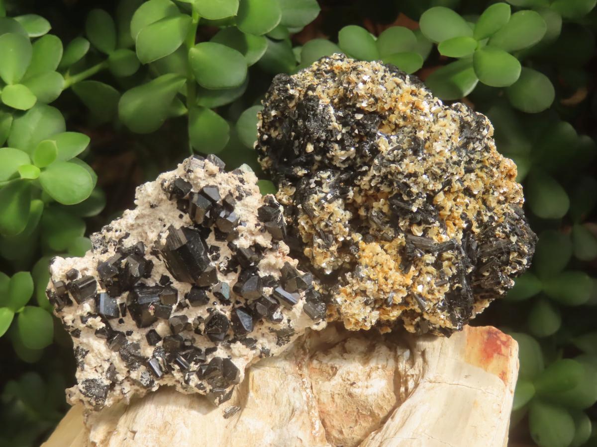 Natural Schorl Black Tourmaline with Associated Minerals x 7 From Erongo, Namibia - Toprock Gemstones and Minerals 