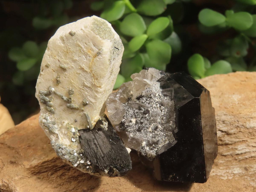 Natural Schorl Black Tourmaline with Associated Minerals x 7 From Erongo, Namibia - Toprock Gemstones and Minerals 