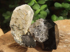 Natural Schorl Black Tourmaline with Associated Minerals x 7 From Erongo, Namibia - Toprock Gemstones and Minerals 
