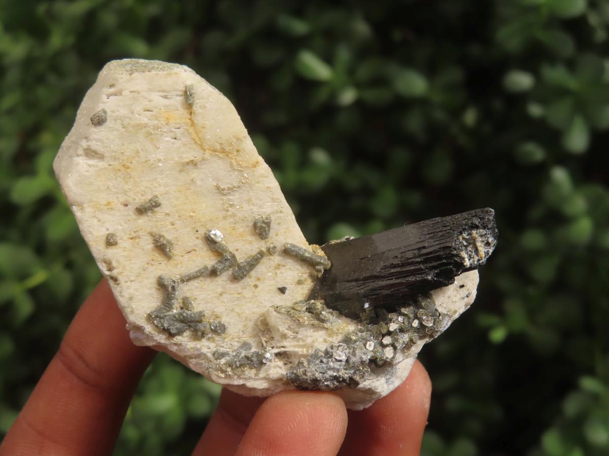 Natural Schorl Black Tourmaline with Associated Minerals x 7 From Erongo, Namibia - Toprock Gemstones and Minerals 