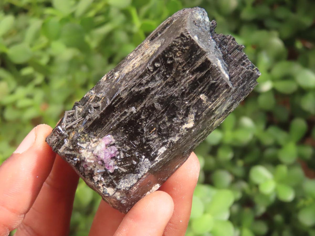 Natural Schorl Black Tourmaline with Associated Minerals x 7 From Erongo, Namibia - Toprock Gemstones and Minerals 
