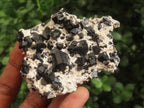 Natural Schorl Black Tourmaline with Associated Minerals x 7 From Erongo, Namibia - Toprock Gemstones and Minerals 