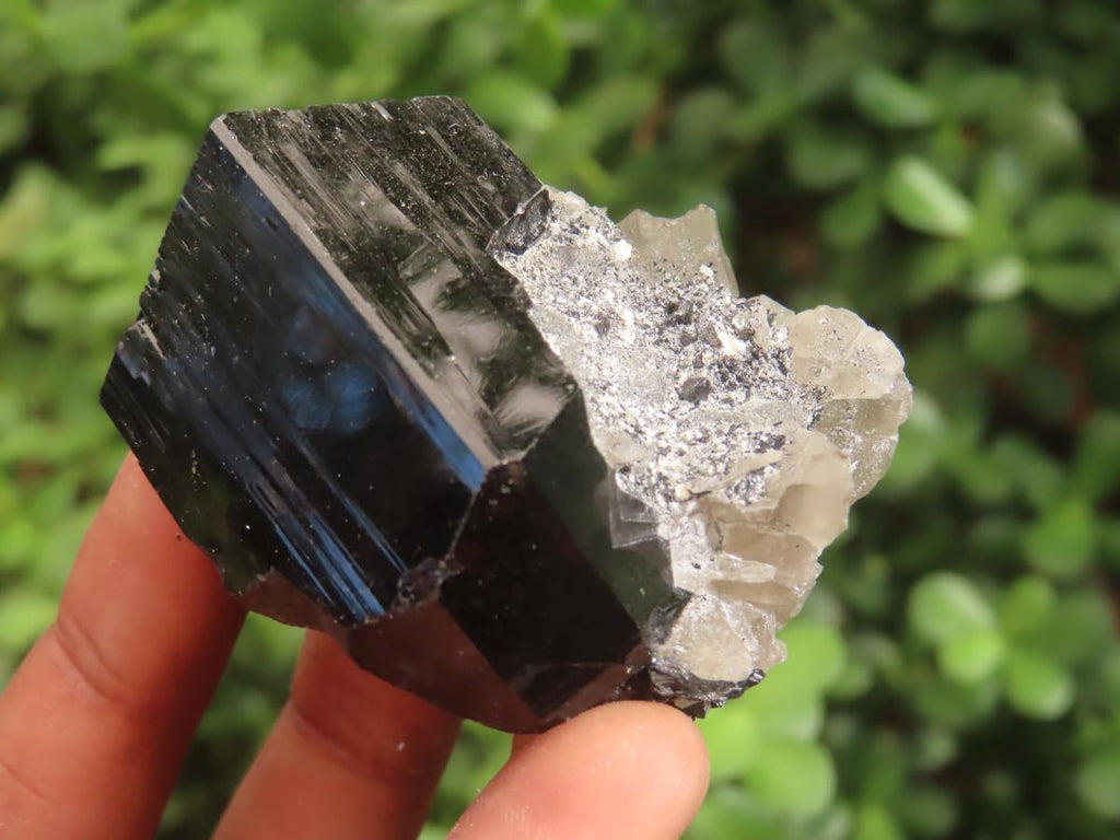Natural Schorl Black Tourmaline with Associated Minerals x 7 From Erongo, Namibia - Toprock Gemstones and Minerals 