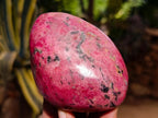 Polished Rhodonite Free Forms x 4 From Rhusinga, Zimbabwe - Toprock Gemstones and Minerals 