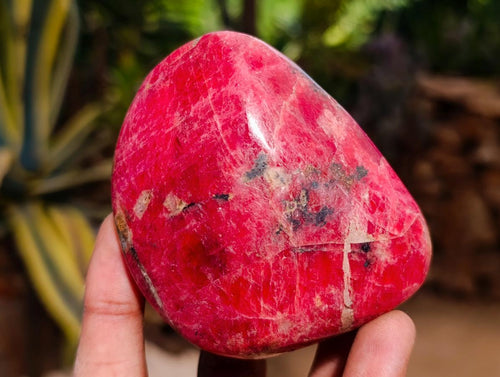 Polished Rhodonite Free Forms x 4 From Rhusinga, Zimbabwe - Toprock Gemstones and Minerals 