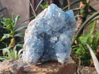 Natural Large Blue Celestite Specimen x 1 From Sakoany, Madagascar - Toprock Gemstones and Minerals 