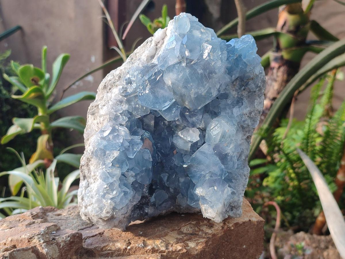 Natural Large Blue Celestite Specimen x 1 From Sakoany, Madagascar - Toprock Gemstones and Minerals 