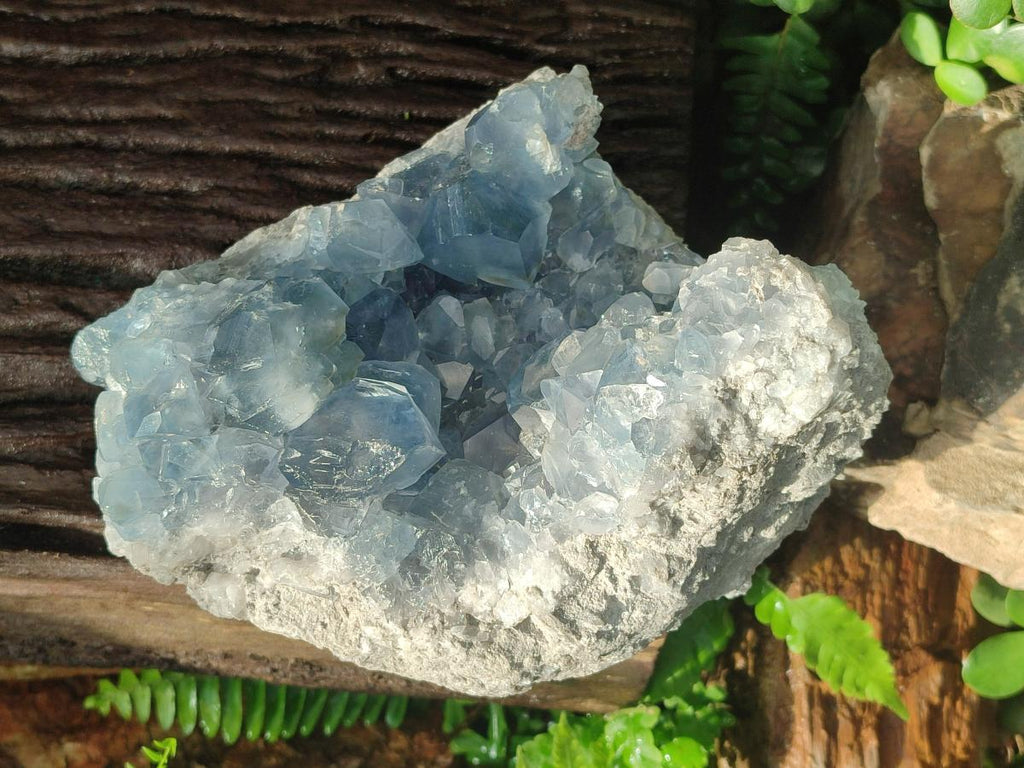 Natural Large Blue Celestite Specimen x 1 From Sakoany, Madagascar - Toprock Gemstones and Minerals 