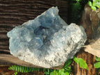 Natural Large Blue Celestite Specimen x 1 From Sakoany, Madagascar - Toprock Gemstones and Minerals 