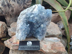 Natural Large Blue Celestite Specimen x 1 From Sakoany, Madagascar - Toprock Gemstones and Minerals 