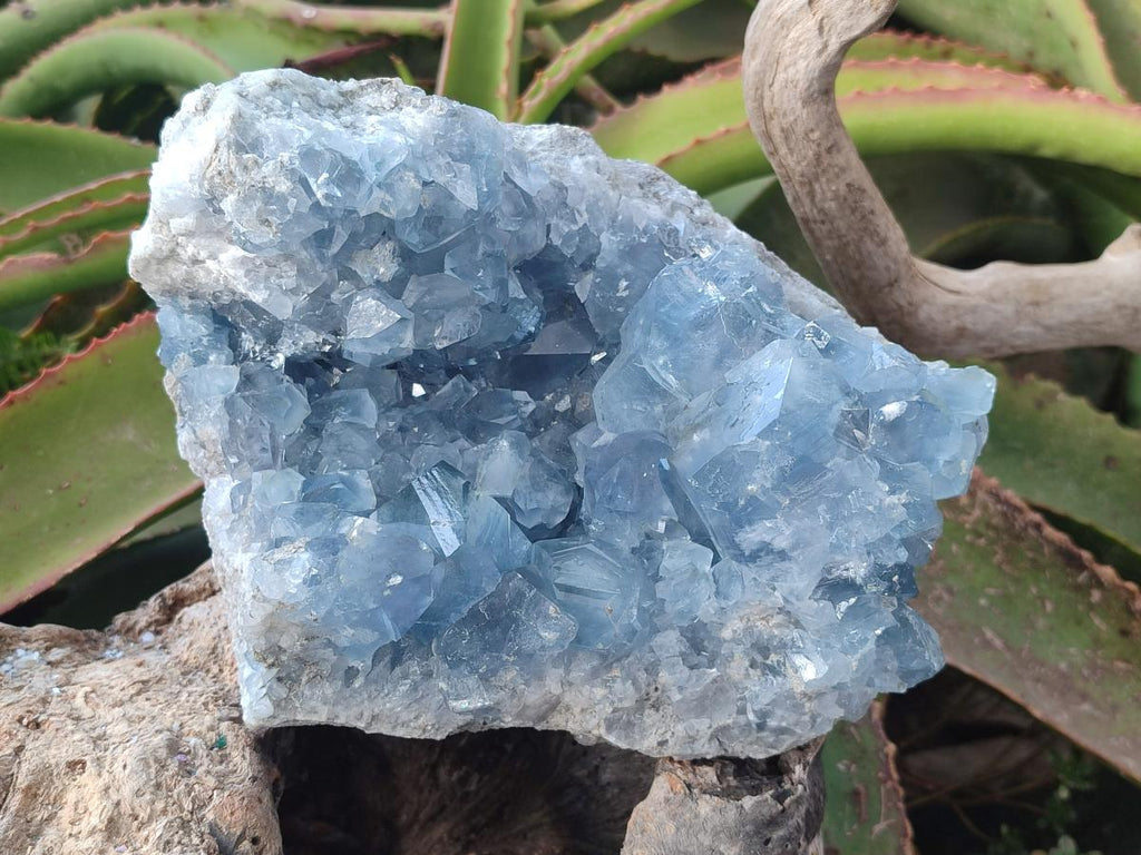 Natural Large Blue Celestite Specimen x 1 From Sakoany, Madagascar - Toprock Gemstones and Minerals 