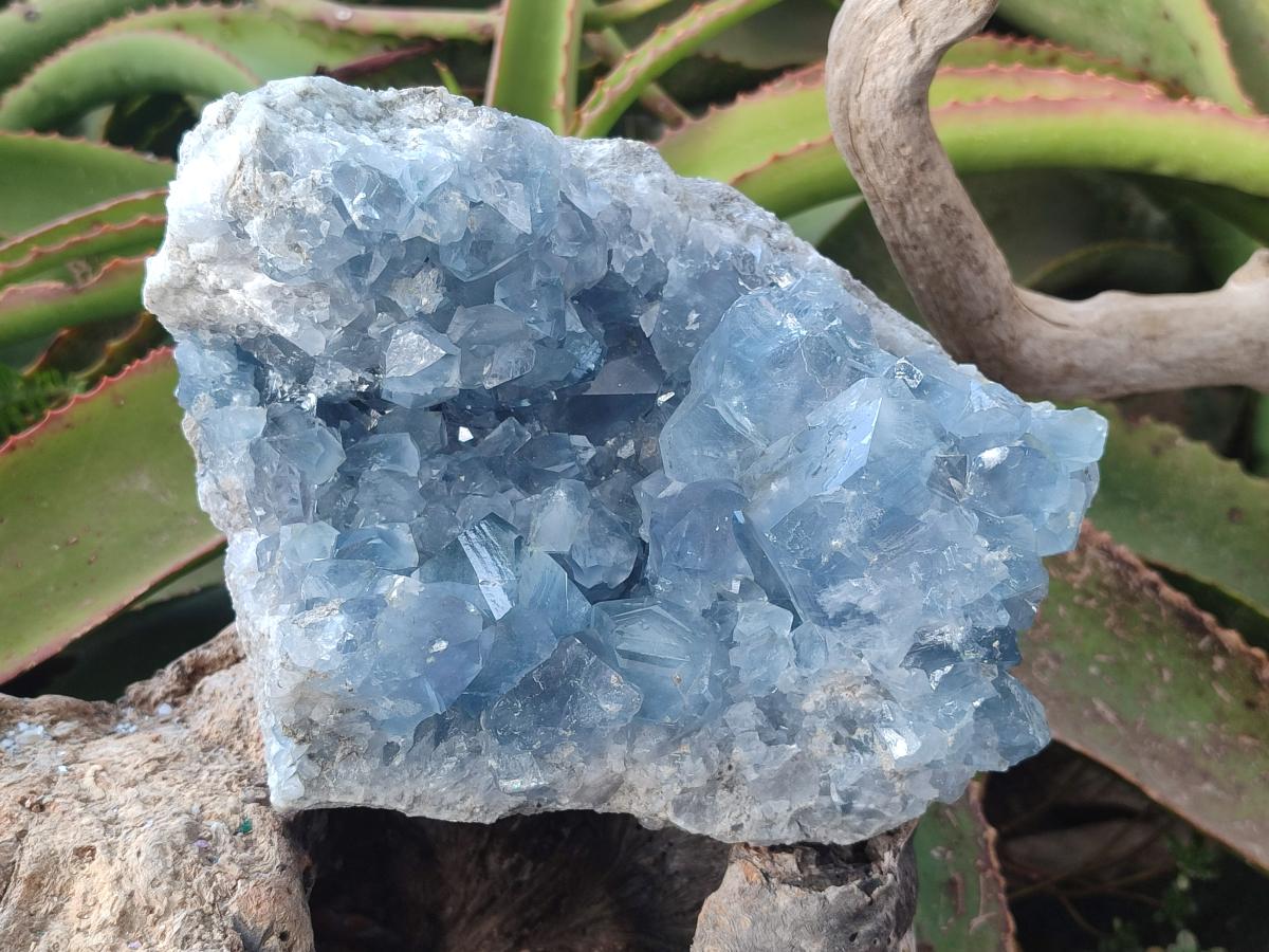 Natural Large Blue Celestite Specimen x 1 From Sakoany, Madagascar - Toprock Gemstones and Minerals 