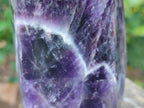 Polished Chevron Amethyst Display Crystals x 3 From Zambia - Toprock Gemstones and Minerals 