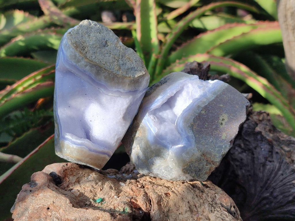 Polished Blue Lace Agate Geode Specimens x 6 From Nsanje, Malawi - Toprock Gemstones and Minerals 