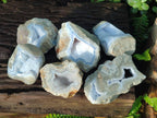 Polished Blue Lace Agate Geode Specimens x 6 From Nsanje, Malawi - Toprock Gemstones and Minerals 
