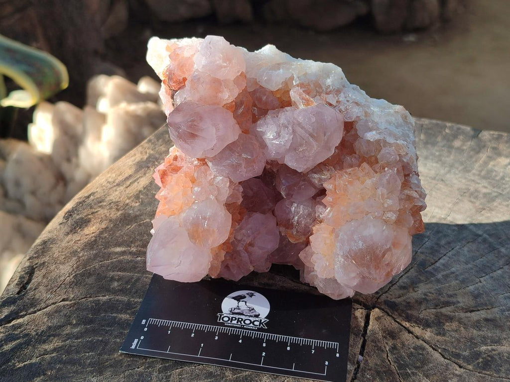 Natural Large Lilac Sunburst Ametrine Spirit Clusters x 2 From Boekenhouthoek, South Africa - Toprock Gemstones and Minerals 