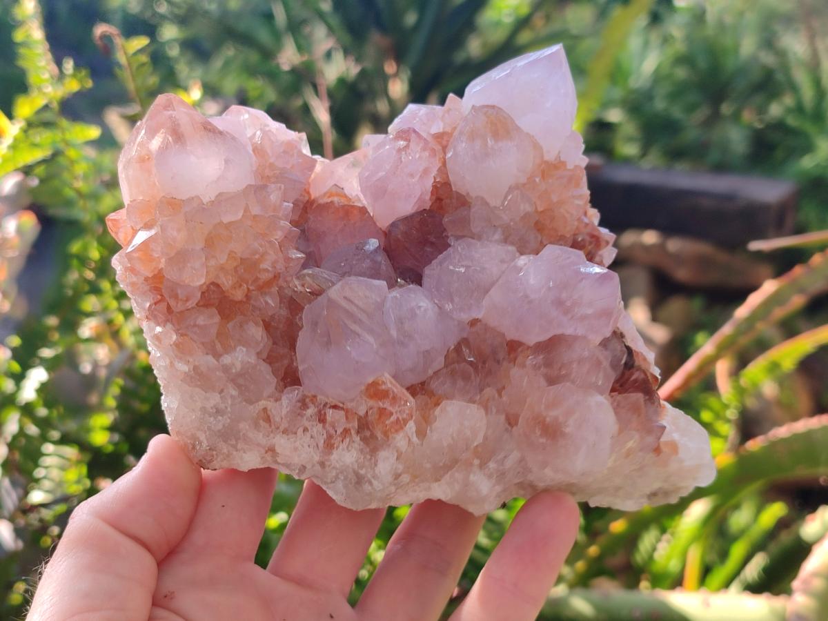 Natural Large Lilac Sunburst Ametrine Spirit Clusters x 2 From Boekenhouthoek, South Africa - Toprock Gemstones and Minerals 