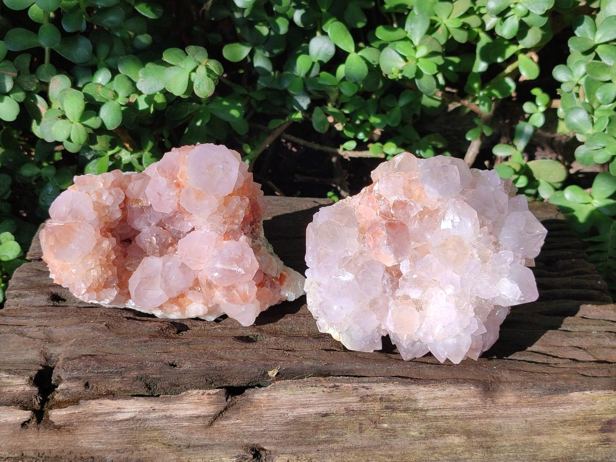 Natural Large Lilac Sunburst Ametrine Spirit Clusters x 2 From Boekenhouthoek, South Africa - Toprock Gemstones and Minerals 