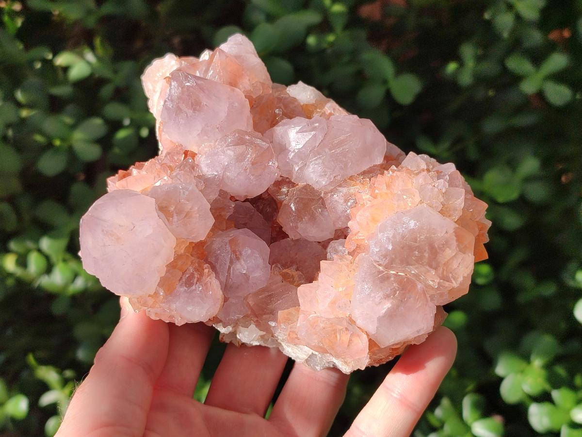 Natural Large Lilac Sunburst Ametrine Spirit Clusters x 2 From Boekenhouthoek, South Africa - Toprock Gemstones and Minerals 