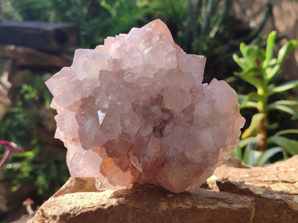 Natural Large Lilac Sunburst Ametrine Spirit Clusters x 2 From Boekenhouthoek, South Africa - Toprock Gemstones and Minerals 