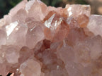 Natural Large Lilac Sunburst Ametrine Spirit Clusters x 2 From Boekenhouthoek, South Africa - Toprock Gemstones and Minerals 
