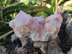 Natural Large Lilac Sunburst Ametrine Spirit Clusters x 2 From Boekenhouthoek, South Africa - Toprock Gemstones and Minerals 