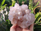 Natural Large Lilac Sunburst Ametrine Spirit Clusters x 2 From Boekenhouthoek, South Africa - Toprock Gemstones and Minerals 