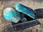 Polished One Side Shattuckite Free Forms x 12 From Kaokoveld, Namibia - Toprock Gemstones and Minerals 