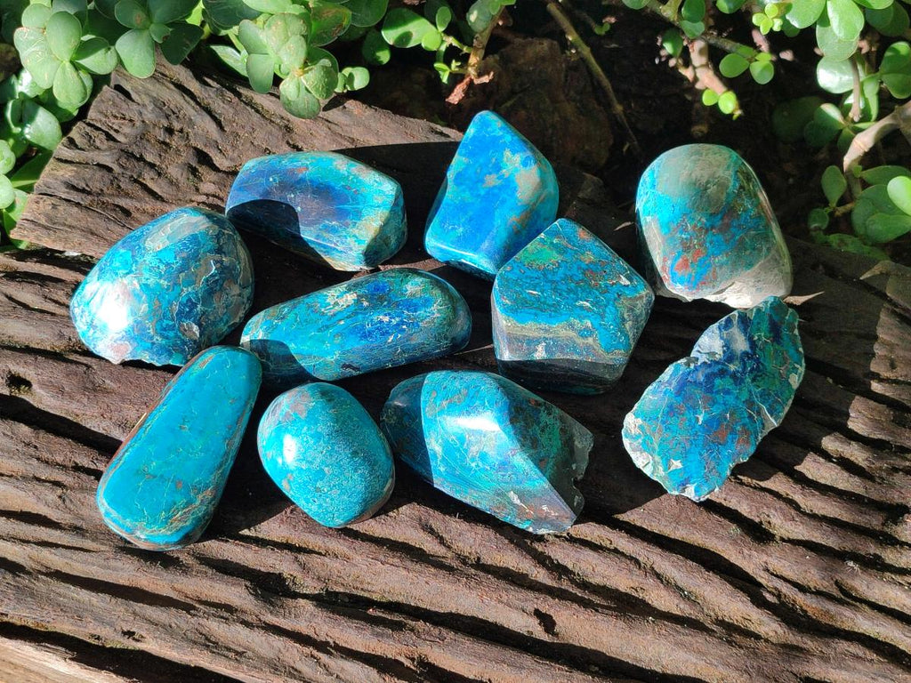 Polished One Side Shattuckite Free Forms x 12 From Kaokoveld, Namibia - Toprock Gemstones and Minerals 