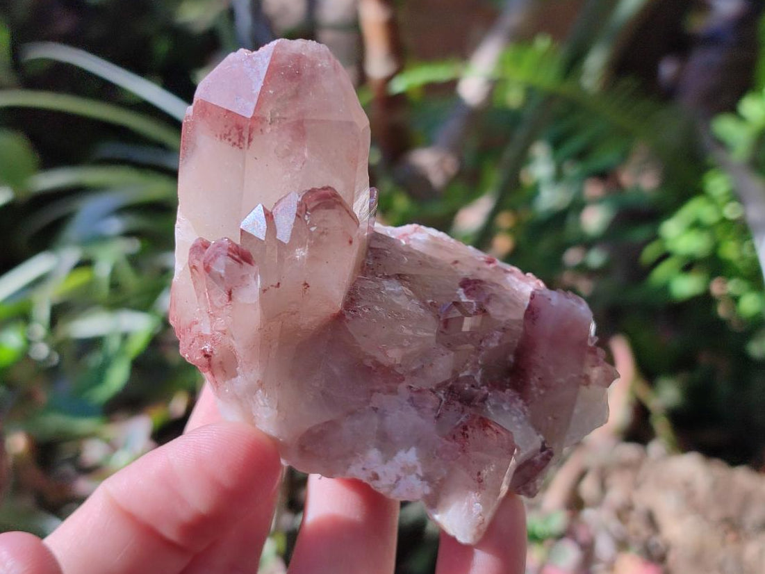 Natural Red Hematoid Quartz Crystal Clusters x 6 From Karoi, Zimbabwe - Toprock Gemstones and Minerals 