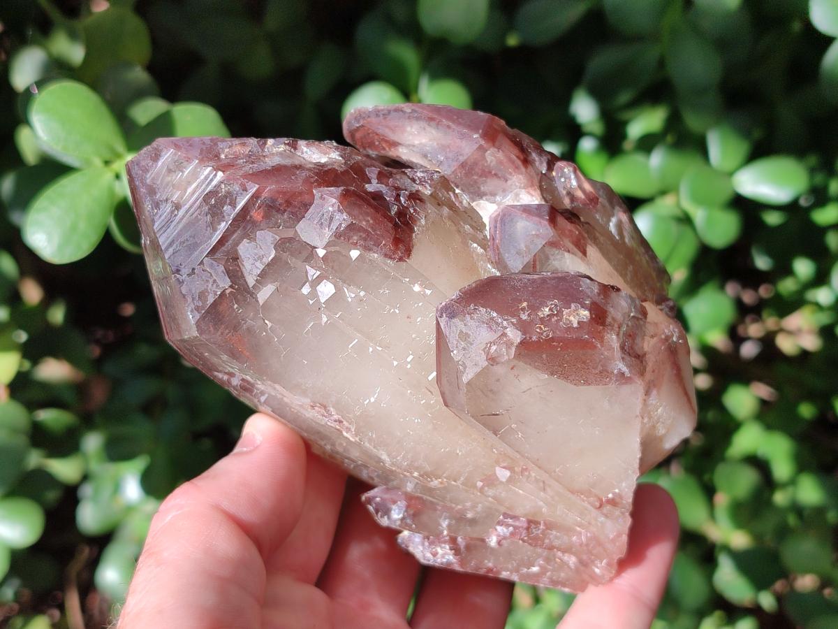 Natural Red Hematoid Quartz Crystal Clusters x 6 From Karoi, Zimbabwe - Toprock Gemstones and Minerals 