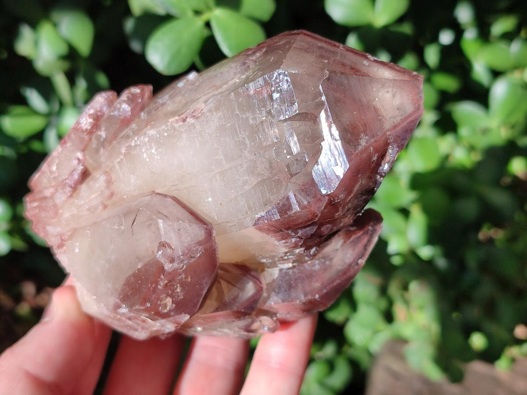 Natural Red Hematoid Quartz Crystal Clusters x 6 From Karoi, Zimbabwe - Toprock Gemstones and Minerals 