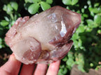 Natural Red Hematoid Quartz Crystal Clusters x 6 From Karoi, Zimbabwe - Toprock Gemstones and Minerals 