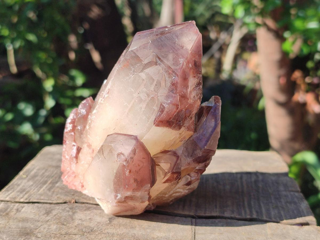 Natural Red Hematoid Quartz Crystal Clusters x 6 From Karoi, Zimbabwe - Toprock Gemstones and Minerals 