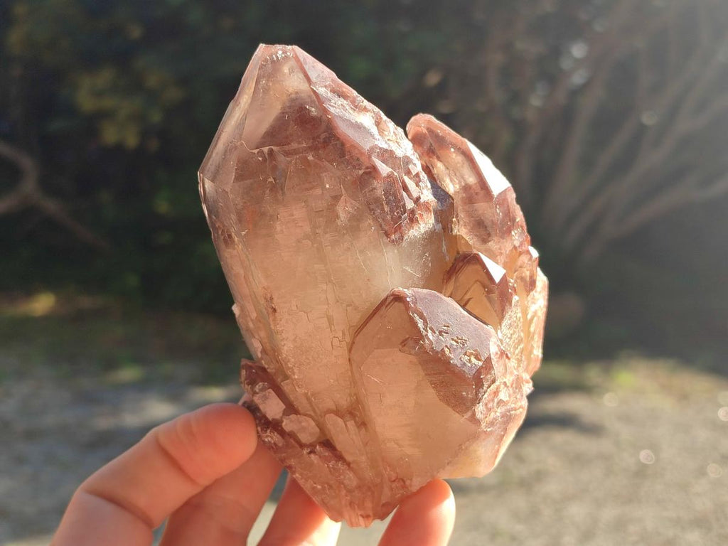 Natural Red Hematoid Quartz Crystal Clusters x 6 From Karoi, Zimbabwe - Toprock Gemstones and Minerals 