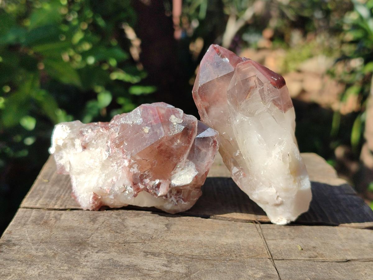 Natural Red Hematoid Quartz Crystal Clusters x 6 From Karoi, Zimbabwe - Toprock Gemstones and Minerals 