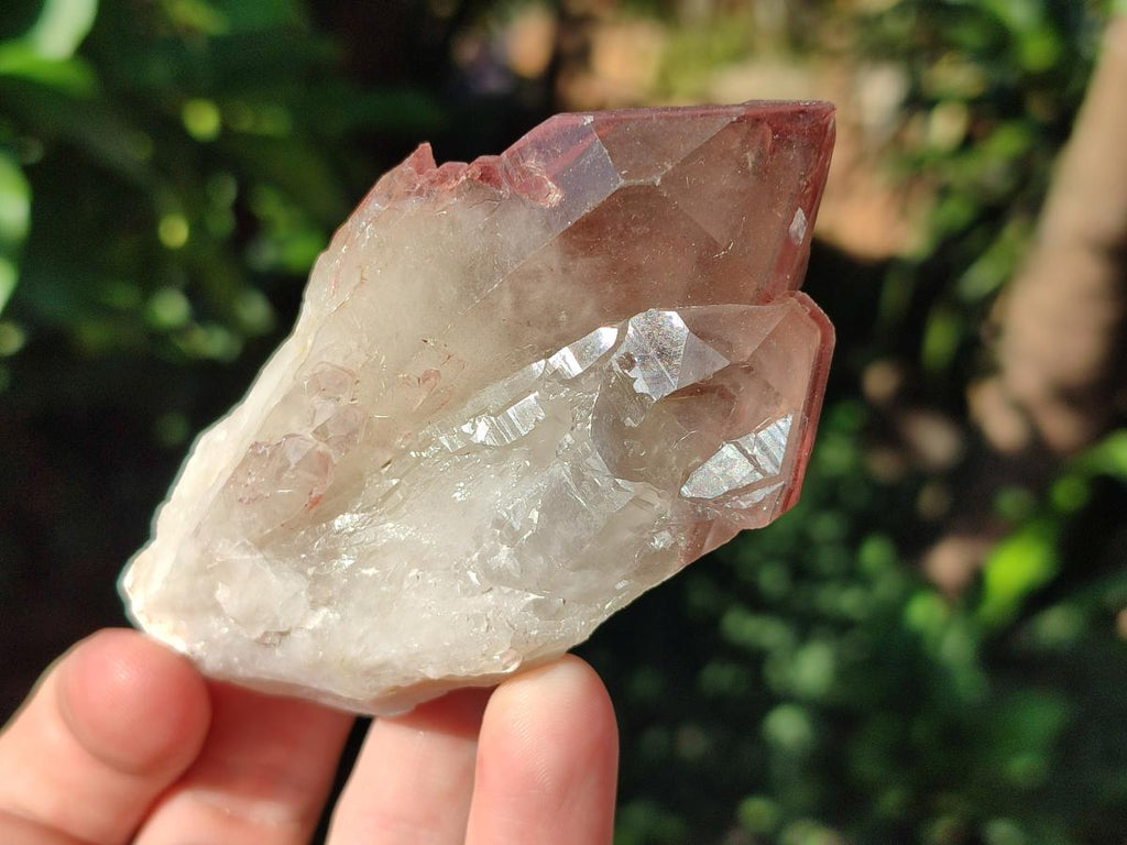 Natural Red Hematoid Quartz Crystal Clusters x 6 From Karoi, Zimbabwe - Toprock Gemstones and Minerals 