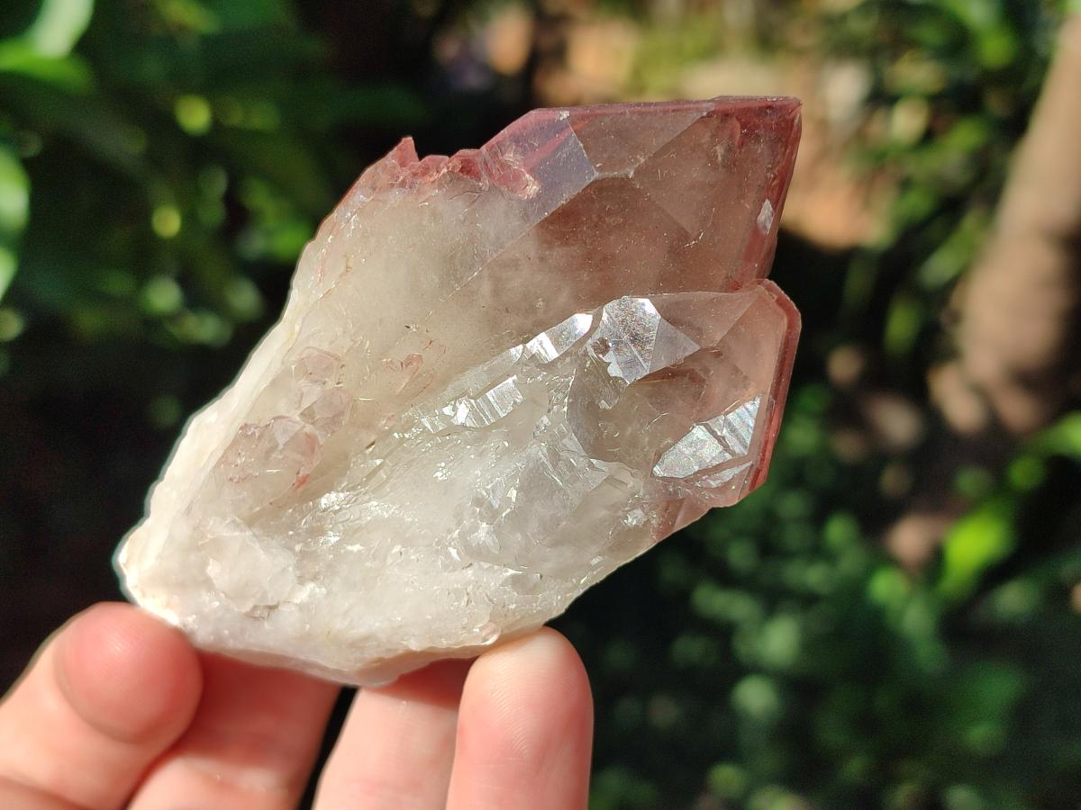 Natural Red Hematoid Quartz Crystal Clusters x 6 From Karoi, Zimbabwe - Toprock Gemstones and Minerals 