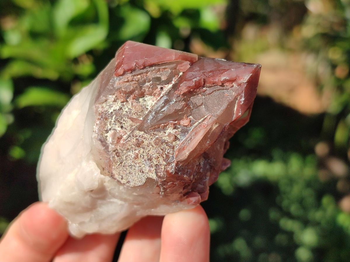Natural Red Hematoid Quartz Crystal Clusters x 6 From Karoi, Zimbabwe - Toprock Gemstones and Minerals 