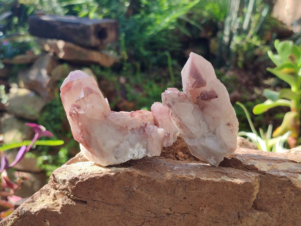 Natural Red Hematoid Quartz Crystal Clusters x 6 From Karoi, Zimbabwe - Toprock Gemstones and Minerals 
