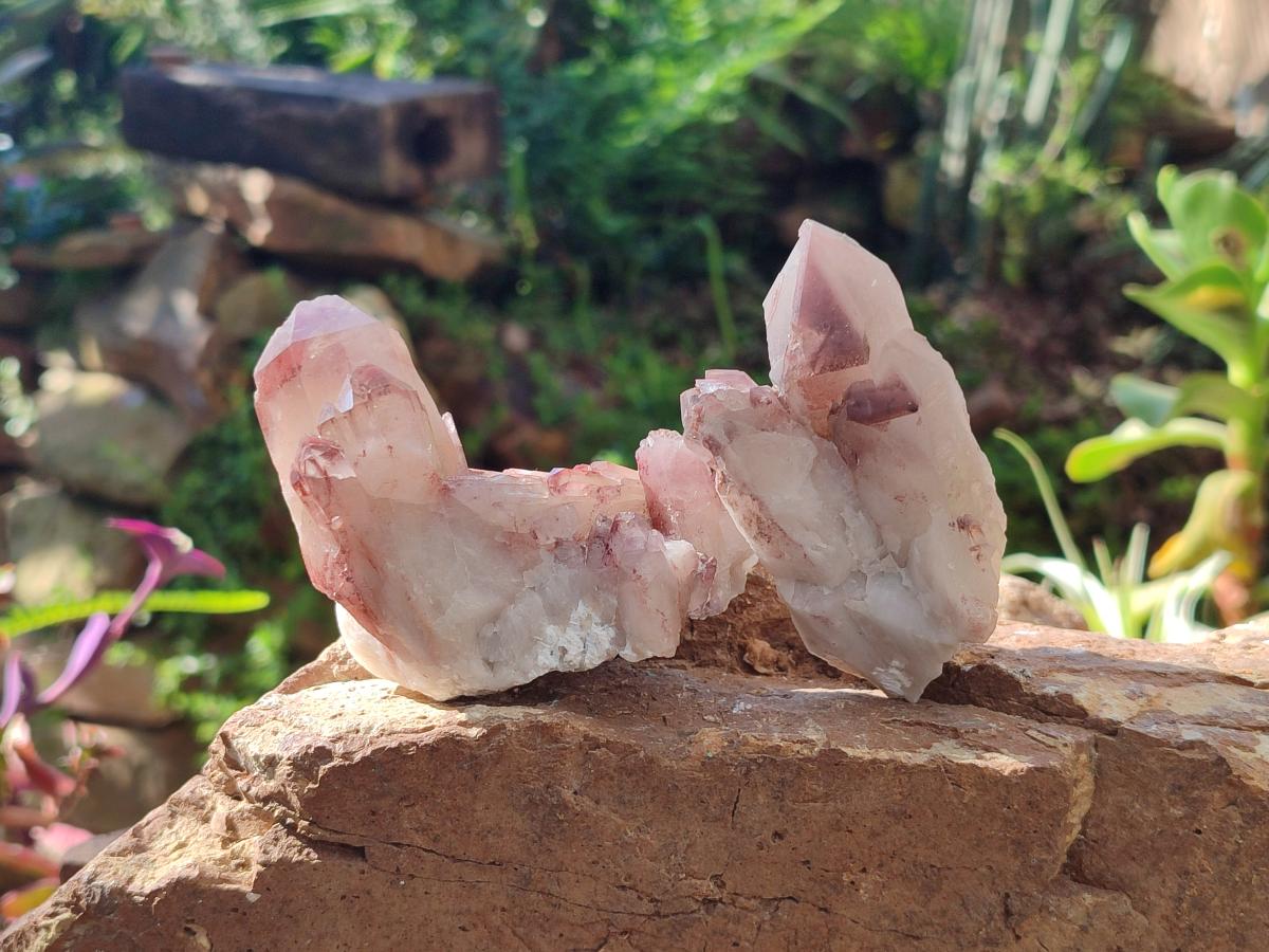 Natural Red Hematoid Quartz Crystal Clusters x 6 From Karoi, Zimbabwe - Toprock Gemstones and Minerals 